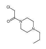 Piperazine, 1-(chloroacetyl)-4-propyl- (9CI) picture