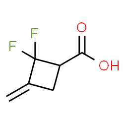 Cyclobutanecarboxylic acid, 2,2-difluoro-3-methylene- (6CI,8CI,9CI)结构式