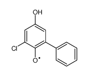 [1,1-Biphenyl]-2-yloxy,3-chloro-5-hydroxy-(9CI)结构式