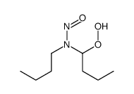 N-butyl-N-(1-hydroperoxybutyl)nitrous amide Structure