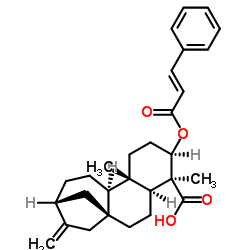 等效-3BETA-肉桂酰氧基贝壳杉-16-烯-19-酸图片