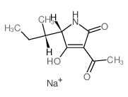 2H-Pyrrol-2-one,3-acetyl-1,5-dihydro-4-hydroxy-5-[(1S)-1-methylpropyl]-, monosodium salt, (5S)-(9CI)结构式