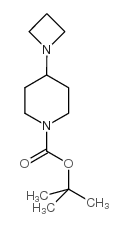 4-氮杂啶-1-哌啶-1-羧酸叔丁酯结构式