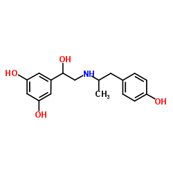 Fenoterol structure