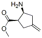 Cyclopentanecarboxylic acid, 2-amino-4-methylene-, methyl ester, cis-(-)- (9CI) structure