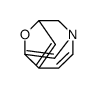 2H-2,6-Methanofuro[2,3-c]pyridine(9CI)结构式