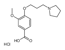 3-METHOXY-4-[3-(1-PYRROLIDINYL)PROPOXY]-BENZOIC ACID HYDROCHLORIDE picture
