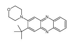 4-(3-tert-butylphenazin-2-yl)morpholine Structure