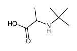 L-Alanine, N-(1,1-dimethylethyl)- (9CI) structure