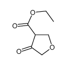 4-氧代四氢呋喃-3-羧酸乙酯图片
