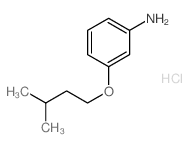 3-(Isopentyloxy)aniline hydrochloride结构式