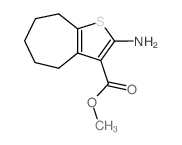 methyl 2-amino-5,6,7,8-tetrahydro-4H-cyclohepta[b]thiophene-3-carboxylate结构式