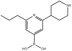 2-(n-Propyl)-6-(piperidin-4-yl)pyridine-4-boronic acid结构式