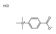 (4-carboxyphenyl)-trimethylazanium,chloride Structure