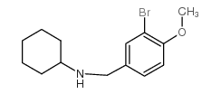 N-[(3-bromo-4-methoxyphenyl)methyl]cyclohexanamine图片