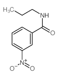 Benzamide,3-nitro-N-propyl- structure