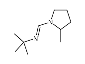 N-tert-butyl-1-(2-methylpyrrolidin-1-yl)methanimine Structure