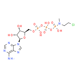 ATP gamma-(N-(2-chloroethyl)-N-methyl)amide结构式