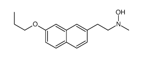 N-methyl-N-[2-(7-propoxynaphthalen-2-yl)ethyl]hydroxylamine结构式