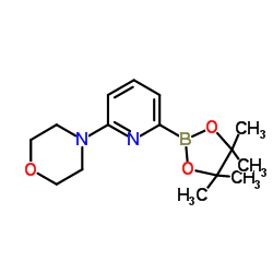 4-(6-(4,4,5,5-tetramethyl-1,3,2-dioxaborolan-2-yl)pyridin-2-yl)Morpholine结构式