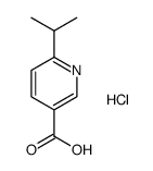 6-isopropylnicotinic acid hydrochloride Structure