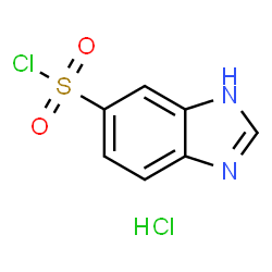 1H-Benzimidazole-5-sulfonyl chloride hydrochloride picture