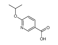 6-异丙基烟酸图片