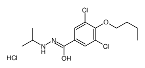 4-butoxy-3,5-dichloro-N'-propan-2-ylbenzohydrazide,hydrochloride结构式