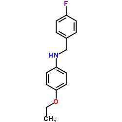 4-Ethoxy-N-(4-fluorobenzyl)aniline结构式