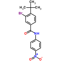 3-Bromo-4-(2-methyl-2-propanyl)-N-(4-nitrophenyl)benzamide结构式