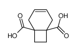 bicyclo[4.2.0]oct-3-ene-1,6-dicarboxylic acid Structure