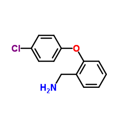 1-[2-(4-Chlorophenoxy)phenyl]methanamine picture