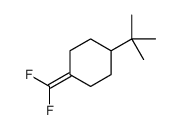 1-tert-butyl-4-(difluoromethylidene)cyclohexane结构式