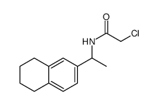 2-CHLORO-N-[1-(5,6,7,8-TETRAHYDRONAPHTHALEN-2-YL)ETHYL]ACETAMIDE structure