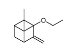 3-ethoxy-6,6-dimethyl-4-methylidenebicyclo[3.1.1]heptane结构式