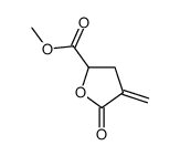 methyl 4-methylidene-5-oxooxolane-2-carboxylate Structure