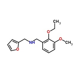 1-(2-Ethoxy-3-methoxyphenyl)-N-(2-furylmethyl)methanamine结构式