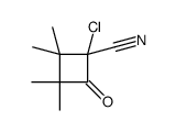 CYCLOBUTANECARBONITRILE, 1-CHLORO-2,2,3,3-TETRAMETHYL-4-OXO-结构式