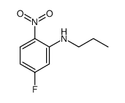 (5-fluoro-2-nitro-phenyl)-propyl-amine图片