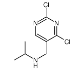(2,4-二氯-嘧啶-5-甲基)-异丙基-胺结构式