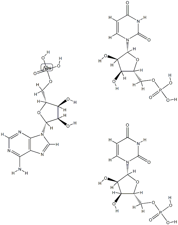 5-Adenylic acid, homopolymer, complex with 5-uridylic acid homopolymer (1:2)结构式