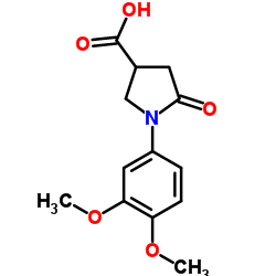 1-(3,4-DIMETHOXYPHENYL)-5-OXOPYRROLIDINE-3-CARBOXYLIC ACID Structure