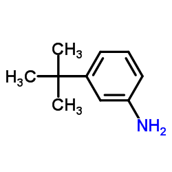 3-(tert-Butyl)aniline structure