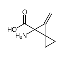 Spiro[2.2]pentanecarboxylic acid, 1-amino-2-methylene- (9CI)结构式