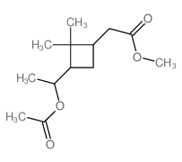 1-[3-(methoxycarbonylmethyl)-2,2-dimethyl-cyclobutyl]ethyl acetate structure