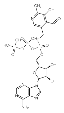 adenosine triphosphopyridoxal结构式
