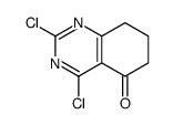 2,4-dichloro-7,8-dihydro-6H-quinazolin-5-one Structure