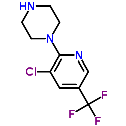 1-(3-氯-5-三氟甲基吡啶基)哌嗪图片