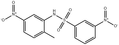 N-(2-methyl-5-nitrophenyl)-3-nitrobenzenesulfonamide图片