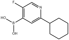 5-Fluoro-2-(cyclohexyl)pyridine-4-boronic acid结构式